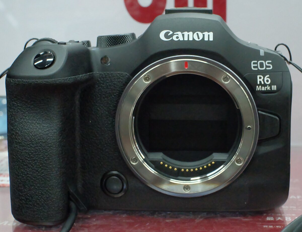 Canon R6-series archive imagery used as a body-family reference while Canon's R6 V gallery blocks direct local download.